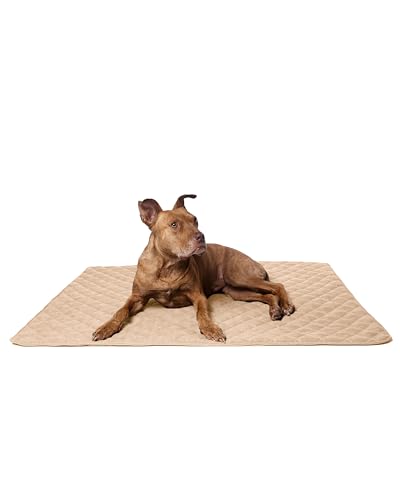 Lous stilvolle Hundematte, Hundedecke XXL für große, mittelgroße und kleine Hunde, waschbar bis 90ºC, Sofaschutz, Haustier, Hunde und Katzen (XXL ca. 120x100 cm, Beige) von Lous