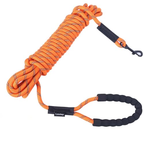 Loutep Hundetrainingsseil, extra stark, für den Innenbereich, 3 m, 5 m, 10 m, 15 m, 20 m, 25 m, 30 m, Gummiseil für große, mittelgroße und kleine Welpen von Loutep