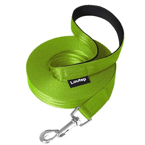 Loutep Schleppleine 3m 5m 10m 15m 20m hundeleine für Hunde kleine große Hund laufleine langlaufleine von Loutep