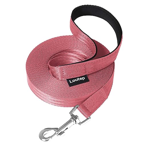 Loutep Schleppleine 3m 5m 10m 15m 20m hundeleine für Hunde kleine große Hund laufleine langlaufleine von Loutep