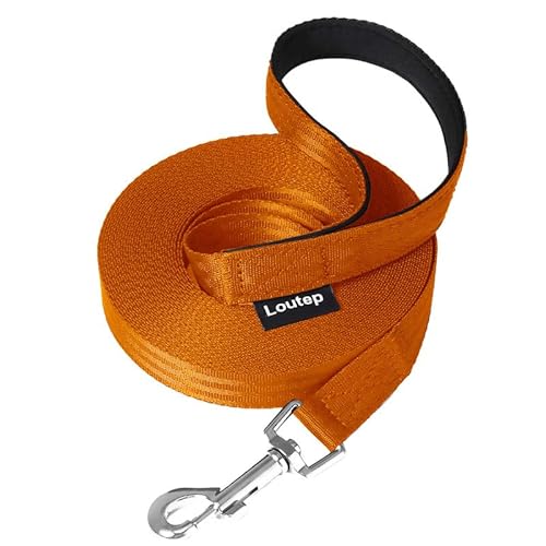 Loutep Trainingsleine für Hunde, 25 m, Orange, strapazierfähige Nylon-lange Leine, Hundeleine mit gepolstertem Griff und robustem Drehhaken – Leine für Haustiergehorsamkeit von Loutep