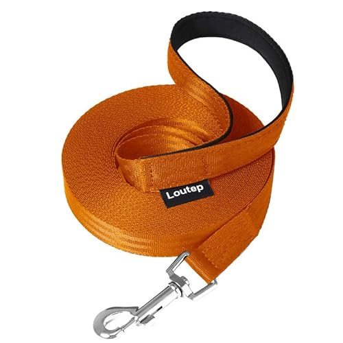 Loutep Trainingsleine für Hunde, 5 m, Nylon, Lange Leine, mit gepolstertem Griff und robustem Drehhaken, Orange von Loutep