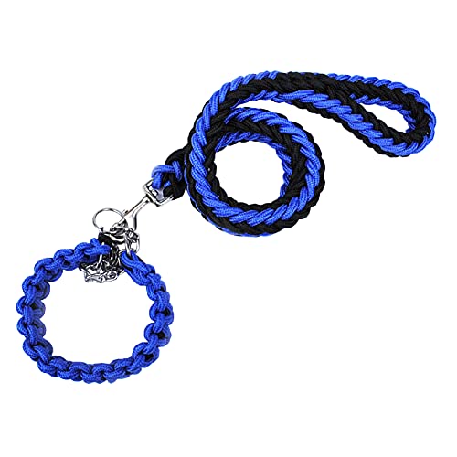 Hundehalsband und Leine, Set aus robustem geflochtenem Nylon, 122 cm, Hunde-Trainingshalsband für kleine, mittelgroße und große Hunde von Love Dream