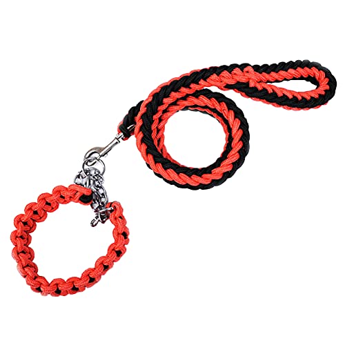 Hundehalsband und Leine, Set aus robustem geflochtenem Nylon, 122 cm, Hunde-Trainingshalsband für kleine, mittelgroße und große Hunde von Love Dream