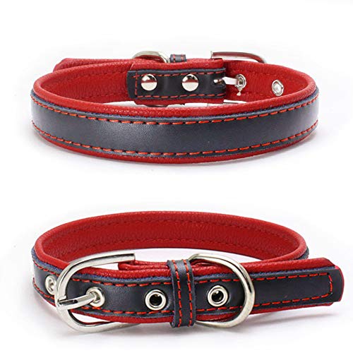 Love Dream Gepolstertes Hundehalsband aus Leder, 6 Farben, strapazierfähig, verstellbar, für kleine, mittelgroße und große Hunde (L (37,1 - 47 cm), Rot) von Love Dream