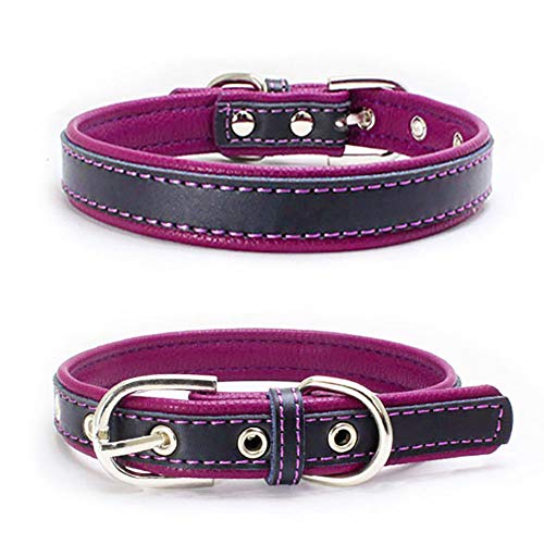 Love Dream Gepolstertes Leder-Hundehalsband, 6 Farben, strapazierfähig, verstellbar, Leder, für kleine, mittelgroße und große Hunde, Größe XL (47 - 56,9 cm), Violett von Love Dream