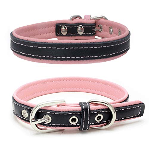 Love Dream Hundehalsband, Hunde Halsband für kleine Hunde, gepolstert, Leder, strapazierfähig, verstellbar, Größe L (37,1 - 47 cm), Rosa von Love Dream