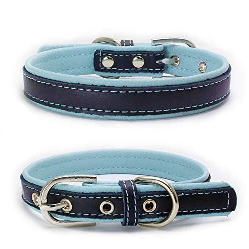 Love Dream Hundehalsband, gepolstert, Leder, strapazierfähig, verstellbar, für kleine, mittelgroße und große Hunde, Größe S (26,9 - 33 cm), Hellblau von Love Dream