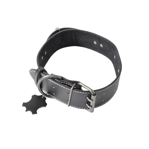 Love Story, Halsband mit Griff, für große Hunde, Leder, Größe 2XL, 70 x 5 cm, Schwarz von Love Story