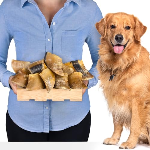 Getrocknete Kalbshufe für Hunde, Fettarmer, Nachhaltiger Kausnack - Ideal für Zahnpflege und Gesundheit (10 Stück (1er Pack)) von Lovely DOG