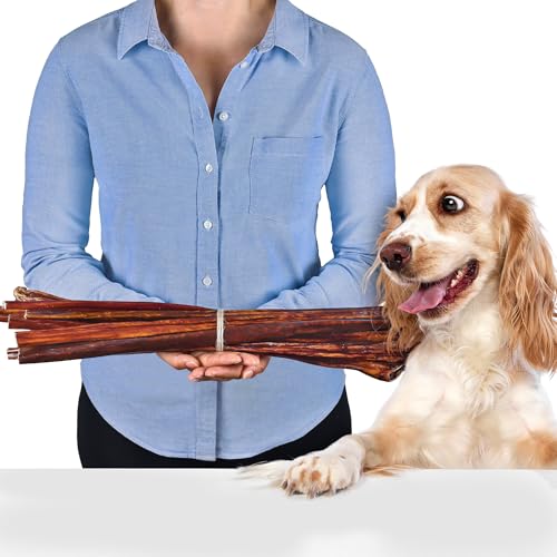 Getrockneter Rinder-Schlund 50 cm, 500 g | Proteinreicher Hundesnack | Naturkauartikel für Zahnpflege | Trockenfleisch für Hunde von Lovely DOG