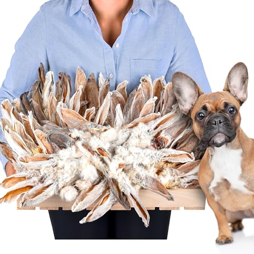 Hasenohren mit Fell für Hunde (1kg) | Kaninchenohren mit Fell für Katzen | Luftgetrocknete Hasenohren | Natürlicher Kausnack für Hunde & Katzen von Lovely DOG