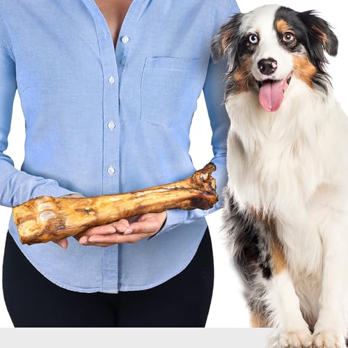 Premium Rinder-Unterbein für Hunde | Natürlicher Kauknochen aus Rindfleisch | Getreidefrei | Mit Vitaminen angereichert | Für empfindliche Hunde | Ideal zum Kauen und Knabbern von Lovely DOG