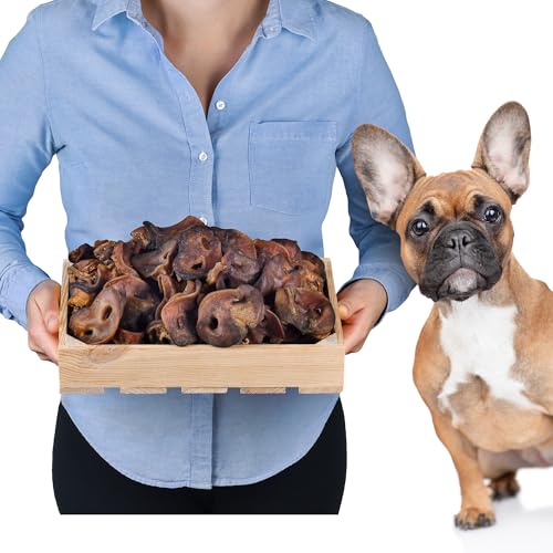 Schweinenasen Naturprodukt für Hunde | Gesunde Hundesnacks zur Zahnpflege | Proteinquelle | Ideal für Diät und Langzeitbeschäftigung (500 g (1er Pack)) von Lovely DOG