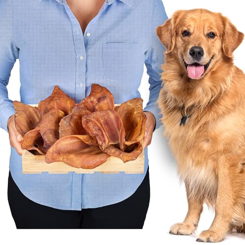 Schweineohren (10 stück) | Hunde leckerlis | Schweineohren Hunde | Leckereien für Hunde | Hundeknochen | Hunde kauartikel | Hundeknochen große Hunde von Lovely DOG