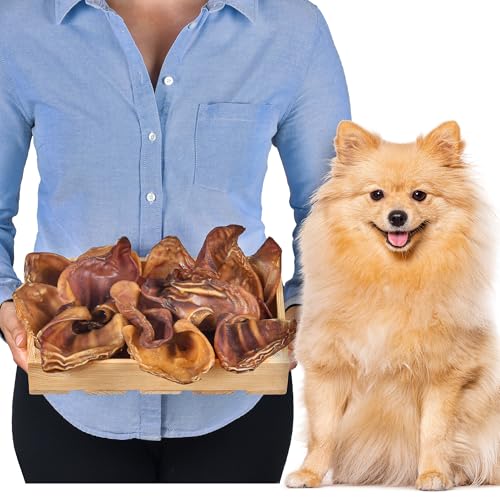 Schweineohren (S 20 stück) | Hunde leckerlis | Schweineohren Hunde | Leckereien für Hunde | Hundeknochen | Hunde kauartikel | Hundeknochen große Hunde von Lovely DOG