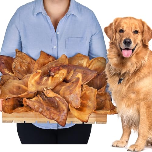 Schweineohren (XL 20 stück) | Hunde leckerlis | Schweineohren Hunde | Leckereien für Hunde | Hundeknochen | Hunde kauartikel | Hundeknochen große Hunde von Lovely DOG