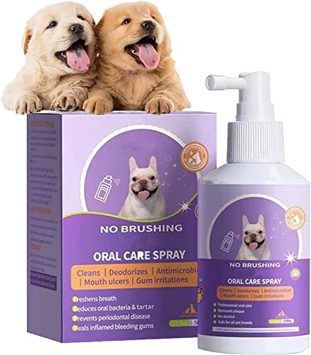 Lovelycat Zahnsteinentferner Hundezahnpasta Zahnpasta für Hunde Katzen Haustiere Zahnpflege Zahnbürste Zahnfleisch Mundgeruch Plaque Gel Haustier Spray Hunde Katzen Keine Notwendigkeit für (1PC) von Lovelycat