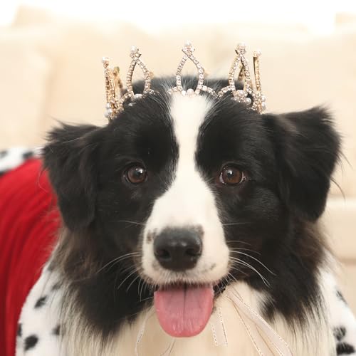 Lovelyshop Die phallenkollektion vergoldeten royal Saury-perlen mit volldressierten Hunden und Katzen Haarschmuck in Größere grössen. von Lovelyshop