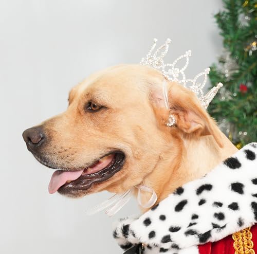 Lovelyshop Königstiger crouncey-Diamant-perlen mit vollgestyltem Hund - und katzenkrone für Haarschmuck - nur in Riesig. von Lovelyshop