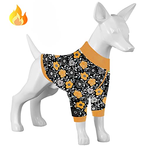 LovinPet Hundepullover Dobermann, verbesserte leichte Flanell-Hunde-Winterbekleidung, hautfreundlicher Stoff, gepunktet, Flora, Geo, Hundekleidung für kleine Hunderassen und Chihuahuas, Orange von LovinPet