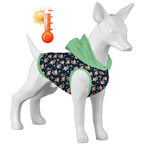 LovinPet f4fa Hunde-Kapuzenpullover für Bluthund, leicht und warm, aktualisierter Flanell-Kapuzenpullover für Hunde mit niedlichen Landstraßen, Anzug für kleine und große Hunde, kaltes Wetter (S+) von LovinPet