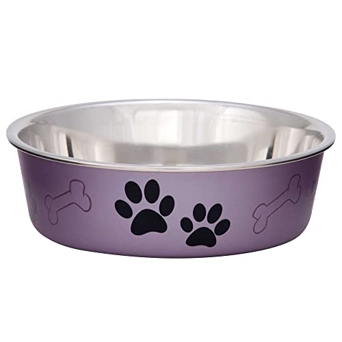 Loving Pets Bella Bowl Metallic Grape Medium Stainless Steel Dish for Dogs von Loving Pets