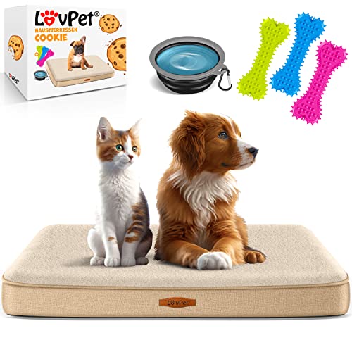 Lovpet® Hundebett orthopädisches Hundekissen Hundekorb Cookie, Inkl. Napf + 3X Kauknochen, Hundesofa für Kleine, Mittelgroße & Große Hunde, Bezug abnehmbar und waschbar, L 91x69x7,6 cm Beige von Lovpet