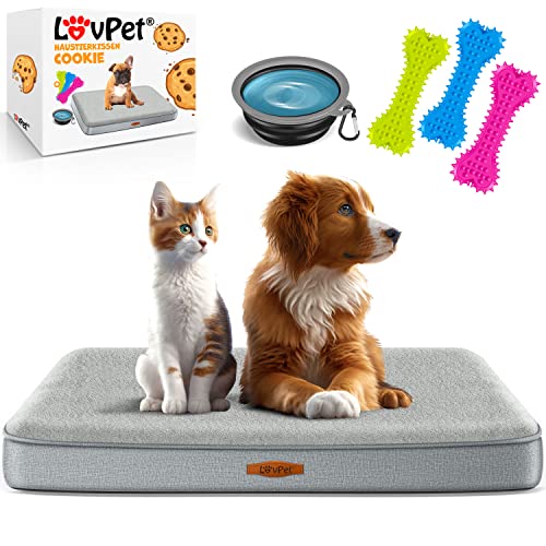 Lovpet® Hundebett orthopädisches Hundekissen Hundekorb Cookie, Inkl. Napf + 3X Kauknochen, Hundesofa für Kleine, Mittelgroße & Große Hunde, Bezug abnehmbar und waschbar, L 91x69x7,6 cm Grau von Lovpet