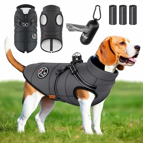 LOVPET® Hundejacke Hundemantel mit Geschirr, inkl. 45 Stück Kotbeutel + Spender, Hunde Winterweste gefüttert wasserdicht, Gepolsterte Weste Mit Brustgurt, Reflektoren, D-Ring 2XL, Anthrazit von Lovpet