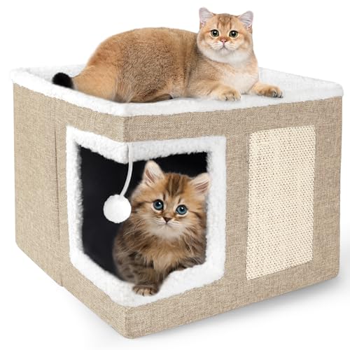 Loyareal Katzenhäuser für Indoor-Katzen - Große Katzenbett-Höhle für Katzenhaus mit Kratzunterlage und flauschigem Ball, faltbares Katzenversteck mit wendbarem Kissen, Katzenkondo für mehrere kleine von Loyareal