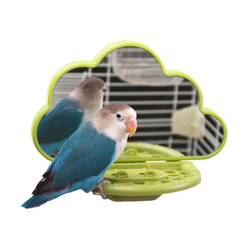 Bird Mirror with Perch | Cockatiel Mirror Stand | Parakeet Mirror Perch | Parrot Bird Mirror | Bird Perch with Mirror Interactive Bird Perch with Mirror for Birds Perches von Lpsdssre