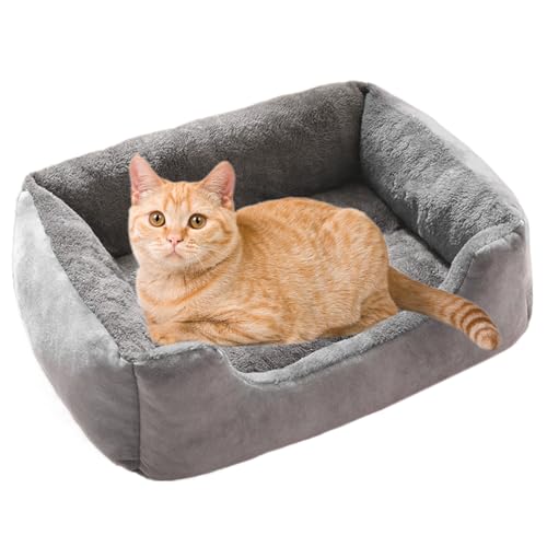 Lpsdssre Kleines Hundebett, waschbares Plüsch -Haustiersofa, weiches Rechteck Welpenbett, bequem Lpsdssre Kleines Hundebett, waschbares Plüsch -Haustiersofa, weiches Rechteck Welpenbett, bequem von Lpsdssre
