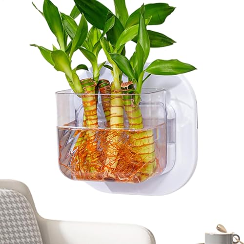 Lpsdssre Wandmontierte Fischschale, kleine wandmontierte Blumenvase, dekorative kompakte Aquarium-Fischschalen für Schlafzimmer, Küche, Wohnung, Schlafsaal von Lpsdssre