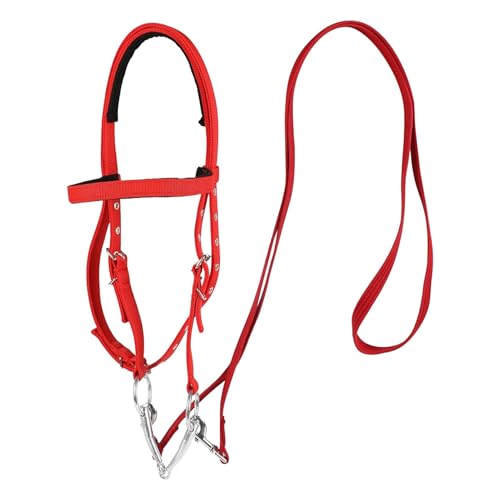 Lpsdssre Zähne für, Kopfstall - Trail Riding Horse Snaffle | Nylon -Band -Zügel für Männer, weich gefütterte Pfadreiten Reitreitmittel. von Lpsdssre