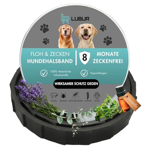 Lubur® Floh- und Zeckenhalsband für Hunde und Katzen - Natürlicher & effektiver Wirkstoff - bis zu 8 Monate wirksamer Schutz gegen Zecken und Flöhe (Grau, Hunde) von Lubur