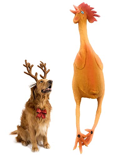 Hundespielzeug Huhn aus Gummi. 100% Naturkautschuk (Latex) Blei- und chemikalienfrei. Entspricht den gleichen Sicherheitsstandards wie Kinderspielzeug. Weich, ungefüllt und quietscht., Medium von Lucas b Natural Dog Toys