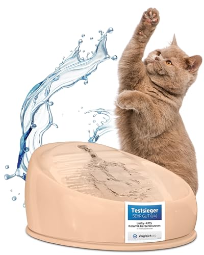 Lucky-Kitty Trinkbrunnen für Katze braun I Katzenbrunnen Keramik Handarbeit, hygienisch I Kein Aufladen, kein Filter-Tausch I Trinkbrunnen leise & energiesparend I Wasserspender Katzen plastikfrei von Lucky-Kitty