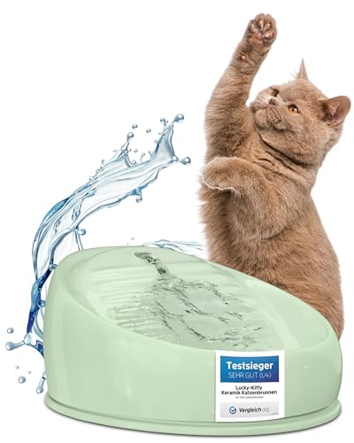 Lucky Kitty Trinkbrunnen für Katze grün I Katzenbrunnen Keramik Handarbeit, hygienisch I Kein Aufladen, kein Filter-Tausch I Trinkbrunnen leise & energiesparend I Wasserspender Katzen plastikfrei von Lucky-Kitty