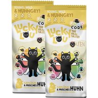 Lucky Lou Trockenfutter Katze Kitten, Food Code, Geflügel & Huhn 2x3 kg Lucky Lou Trockenfutter Katze Kitten, Food Code, Geflügel & Huhn 2x3 kg von Lucky Lou
