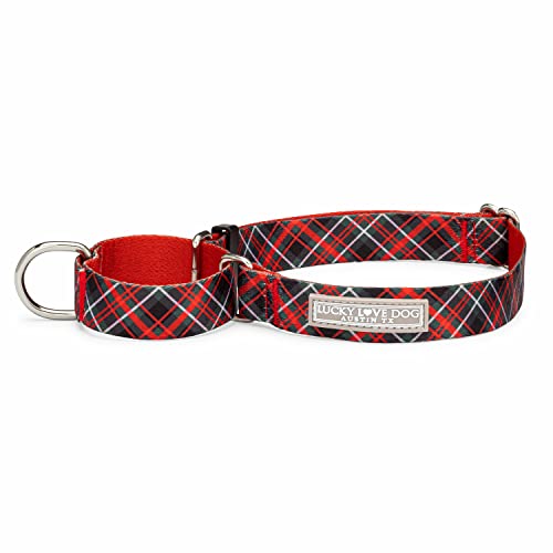 Lucky Love Dog, Evergreen Rutschfestes Hundehalsband, Martingale-Hundehalsband für Jungen und Mädchen, Lebendiges Beerenmuster, Größe M, Heywood Martingale von Lucky Love Dog