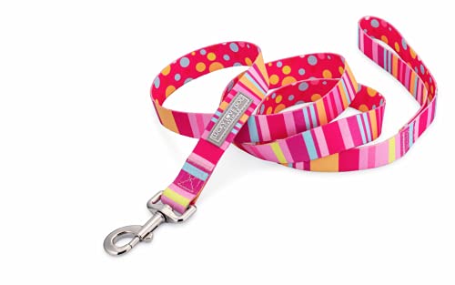 Lucky Love Dog, Hundeleine mit bunten Streifen, Gelb, Rosa, Blau, niedliche Hundeleine für Hündinnen – (groß, Molly Leash) von Lucky Love Dog