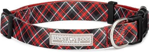 Lucky Love Dog, Schönes immergrünes Hundehalsband, lebendiges Beerenmuster, für Jungen und Mädchen, Größe XL, Heywood-Halsband von Lucky Love Dog