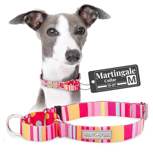 Lucky Love Dog, Summer Stripes Martingale Hundehalsband, rutschfest, Größe M, Gelb / Rosa / Blau von Lucky Love Dog