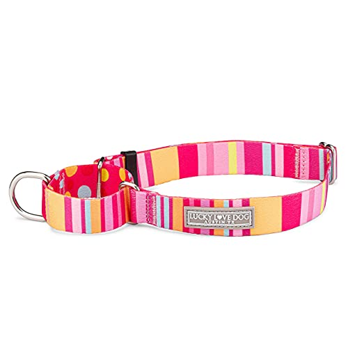 Lucky Love Dog, Summer Stripes Martingale Hundehalsband, rutschfest, Größe S, Gelb / Rosa / Blau von Lucky Love Dog