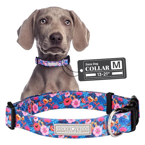 Lucky Love Dog Collars, Stripes Pattern Dog Collar for Medium Dogs, Comfortable & Soft Cute Girl or Boy Dog Collar, Zuzu, Medium von Lucky Love Dog