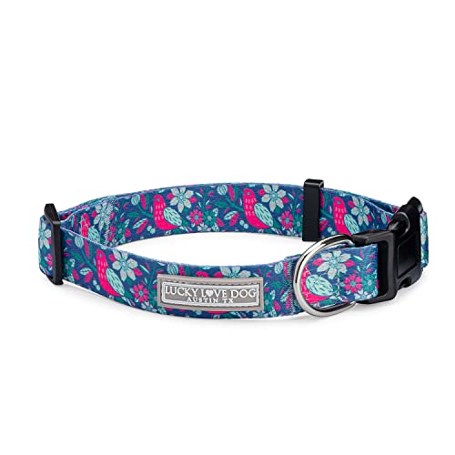 Lucky Love Dog, Whimsical Bird Hundehalsband, Lebendiges Rosa, Minze, Blaue Blumen, mittelgroße Hundehalsbänder, verstellbare Halsbänder für weibliche und männliche Hunde – (M, Carriebelle-Halsband) von Lucky Love Dog