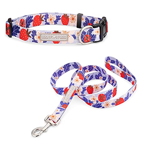 Lucky Love Dog Halsbänder | niedliche Mädchen-Halsbänder | kleine, mittelgroße und große weibliche Halsbänder | Teil des Kaufs gespendet für Rettung (Medium, Sweet Berry – Combo) von Lucky Love Dog