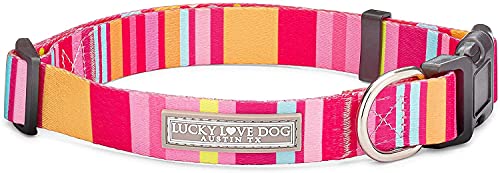 Lucky Love Dog, Hundehalsband mit bunten Streifen, Gelb, Rosa, Blau, niedliches Hundehalsband für Mädchen – (Größe S, Molly Halsband) von Lucky Love Dog