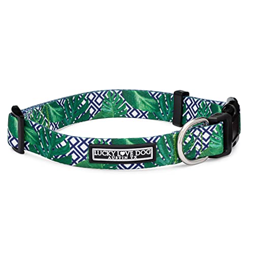 Lucky Love Dog Halsband | Schönes und lebendiges Muster XS Hundehalsbänder | Einfaches An- und Ausziehen Verschluss Accessoire (Blau Laguna, XS) von Lucky Love Dog